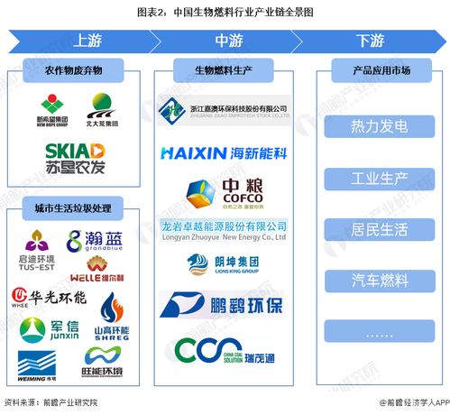 生物燃料行業產業鏈全景梳理及?？谲浖_發機遇